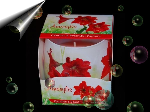 Amarylis-Duftkerze-Glas