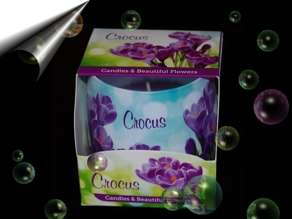 Crocus-Duftkerze-Glas