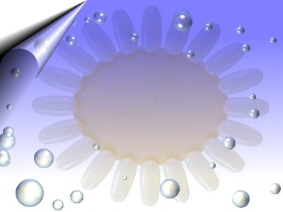 Nailart-Farbdisplay-Oval-Natur