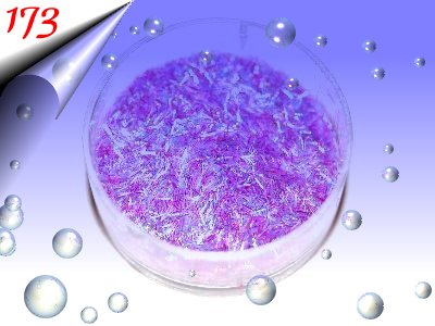 Nailart-Glitter-Stripes-Faeden-Nr173