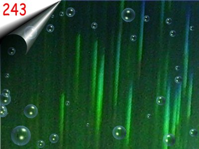 Nailart-Rubbelfolie-Nr243